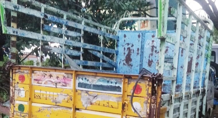 Ashok Leyland Dost