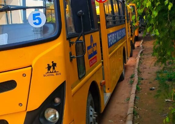 School Bus Sale